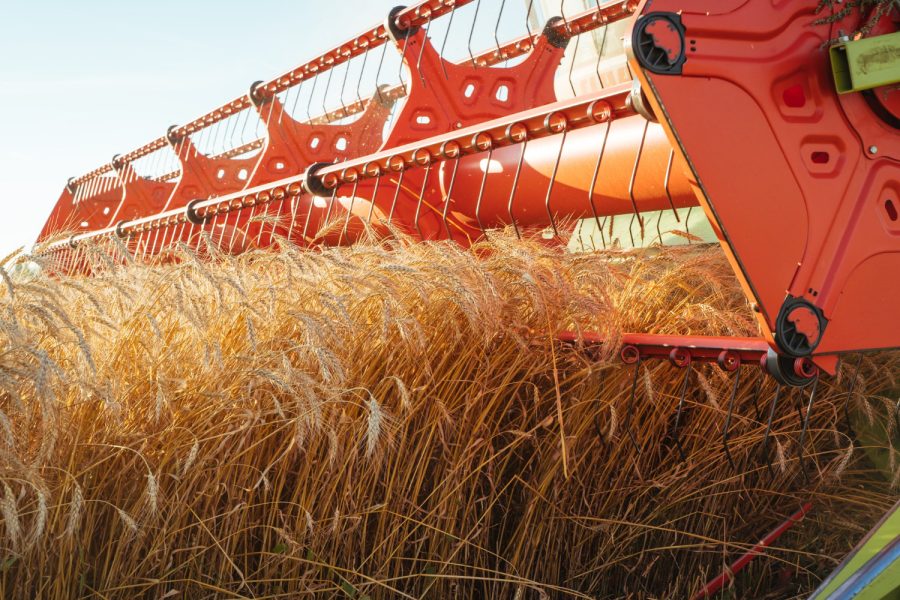 combine-harvester-harvests-ripe-wheat-concept-rich-harvest