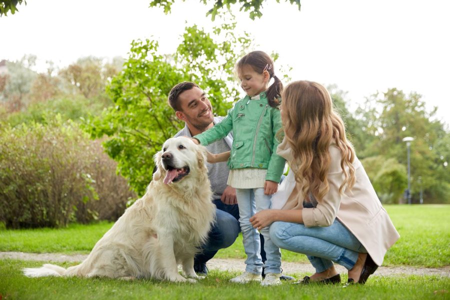 family-pet-domestic-animal-people-concept-happy-family-with-labrador-retriever-dog-walk-park