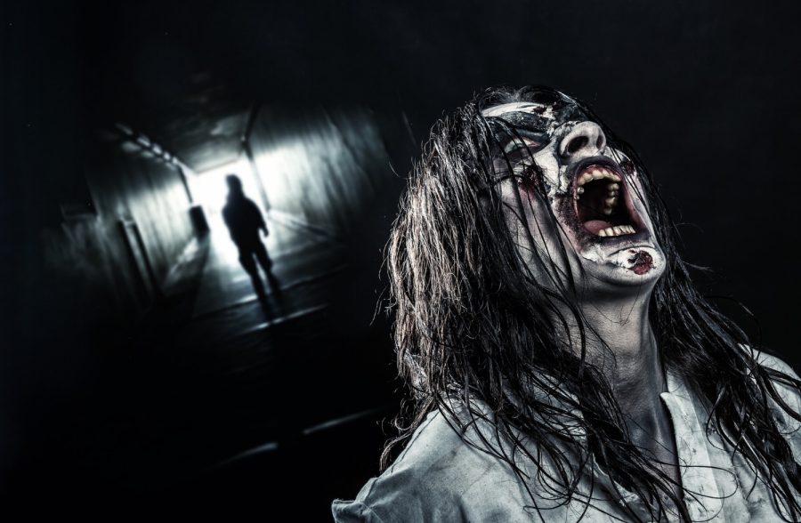 shouting-horror-zombie-girl-dark-corridor-halloween