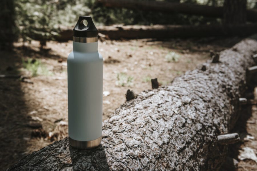 Water bottle on a trunk in a forest